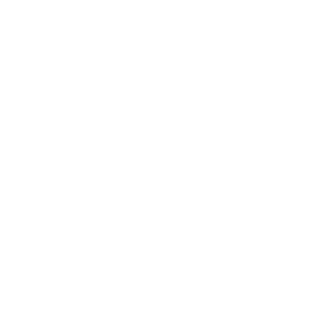 logo pachanga solutions in white